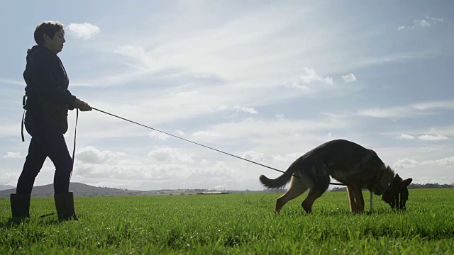 牧羊犬和他的主人在农场散步4k视频下载