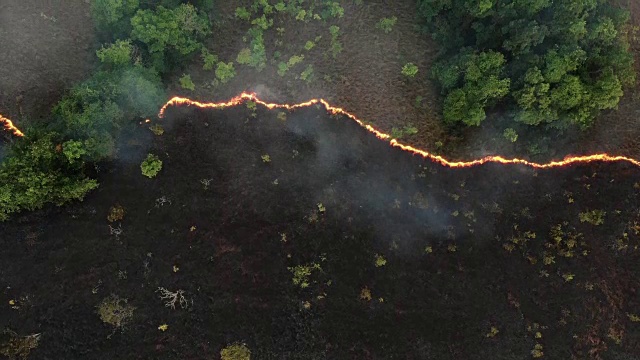 森林火灾鸟瞰图和移动摄影。视频下载