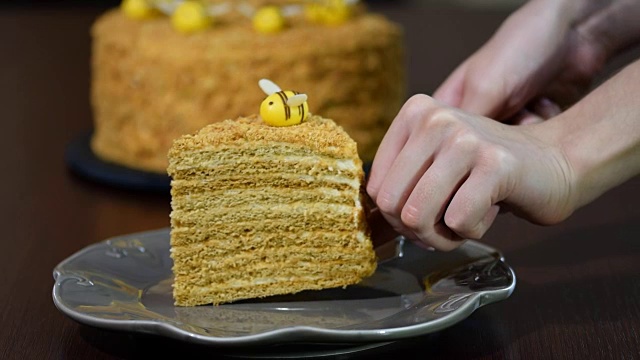 新鲜自制蜂蜜蛋糕“Medovik”。在碗里放一块蜂蜜蛋糕视频素材