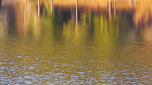 湖,平视角,纯净,简单视频素材