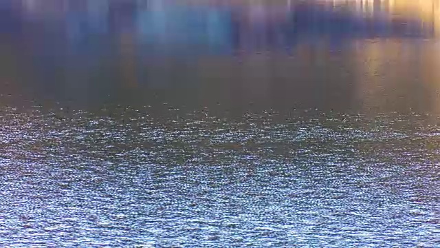 湖的表面视频素材