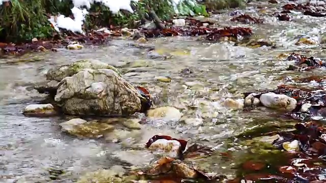 春天小溪在森林中流淌着融化的雪视频下载