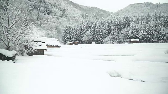 淘金:白川村山坡上大小日本传统房屋视频下载