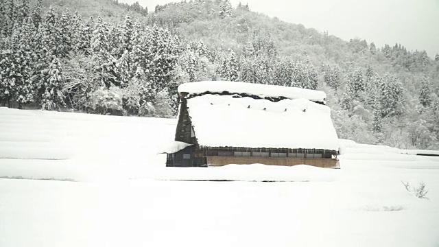 白川村山坡上的日本传统房屋视频下载