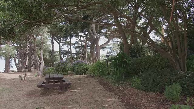 公园里有野餐桌，没人视频下载