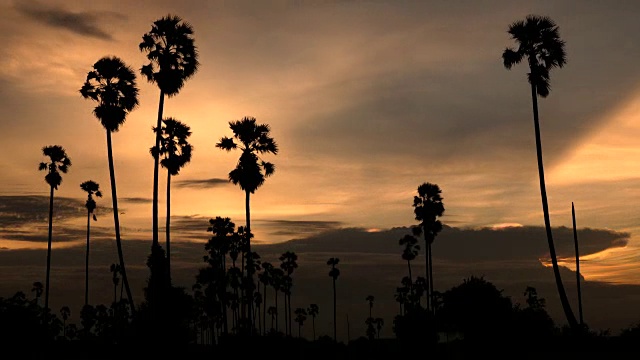 美丽的时间流逝日落棕榈树和云在乡下，泰国视频下载