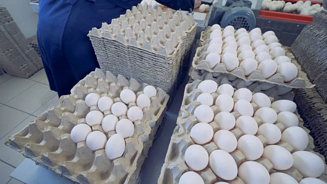 间隔拍摄。家禽饲养员把新鲜鸡蛋放在板条箱里。家禽农场。视频素材