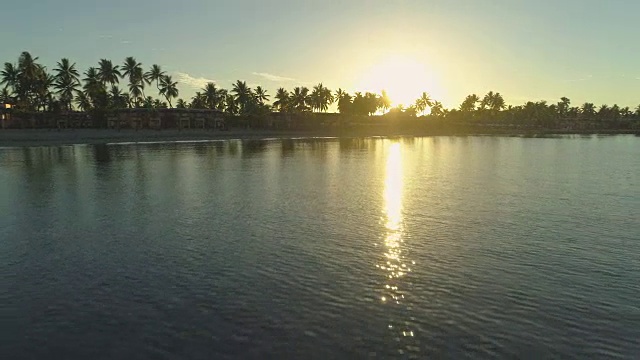 天线:日落时分，平静的海浪拍打着平静的斐济岛的沙滩。视频下载