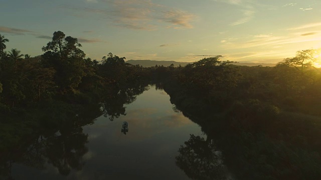 航拍:飞过斐济岛上茂密的热带雨林中平静的沼泽。视频下载