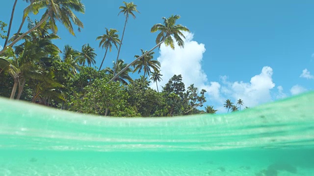 慢镜头:翠绿的海浪扫过令人难以置信的美丽热带海滩视频素材