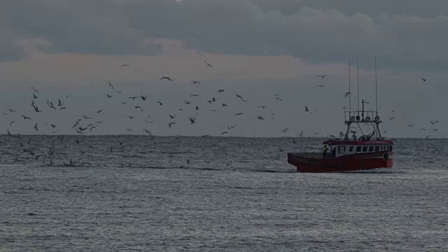 商业龙虾渔船视频素材