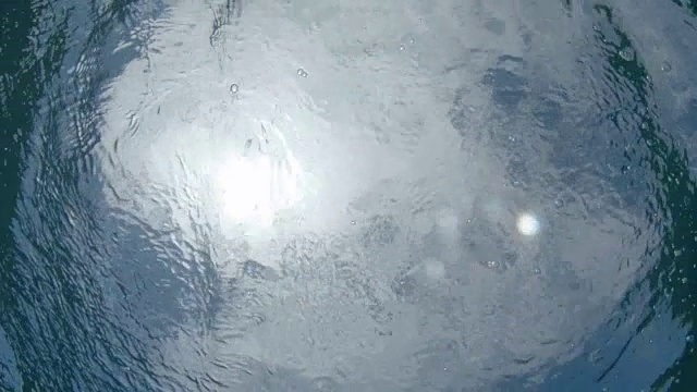 水下:一群小鱼散布在晶莹剔透的海洋中视频素材