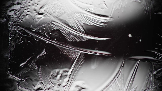 冰冻的叶片将水与图案联系在一起视频素材