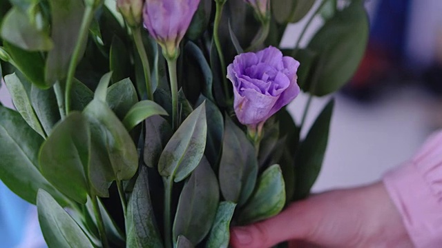 把漂亮的花放在花瓶里，进一步创造一束礼物视频素材