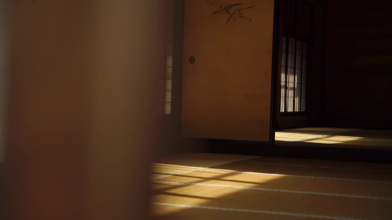阳光和阴影在传统的家庭木地板-日本视频下载