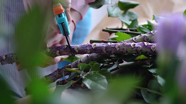 女花匠用修枝机剪大枝的特写视频素材