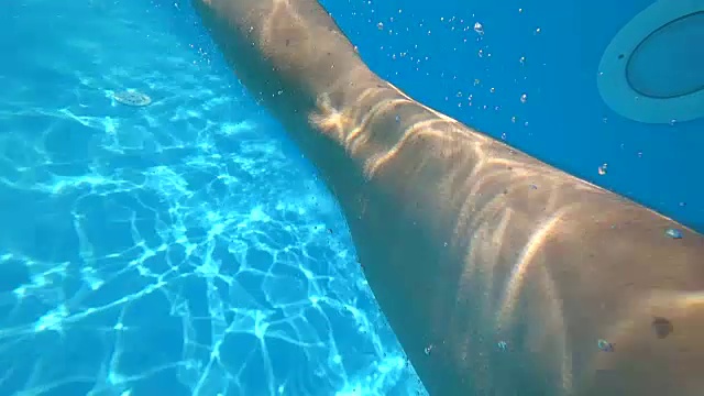 夏天，在干净的泳池边，穿着短裤的人在水下跳跃和漂浮视频素材