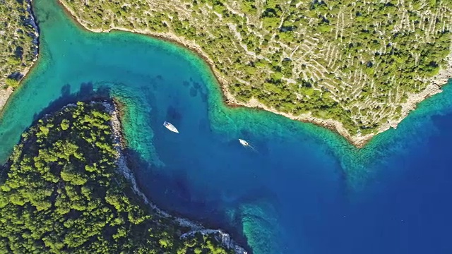 4K无人机实时拍摄宁静阳光海湾的船只视频素材