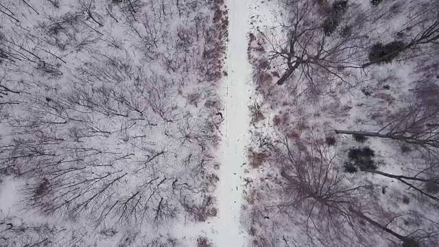 飞行在白色冬季森林道路，俯视图冬季无人机空中视频下载