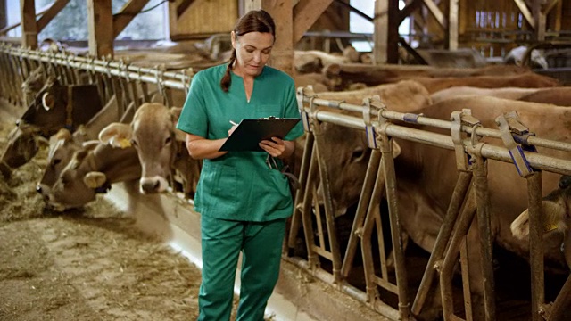 一位女兽医一边走过牛棚，一边在写字板上写下观察结果视频下载