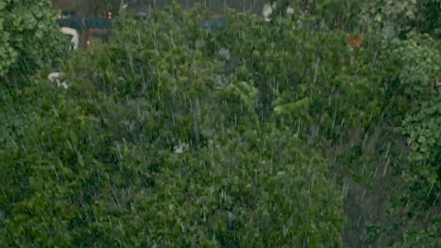 在一个城市里，大雨从上方落在树顶上视频下载