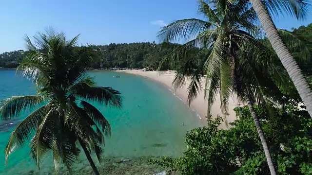航拍:穿过棕榈树去海滩。视频素材