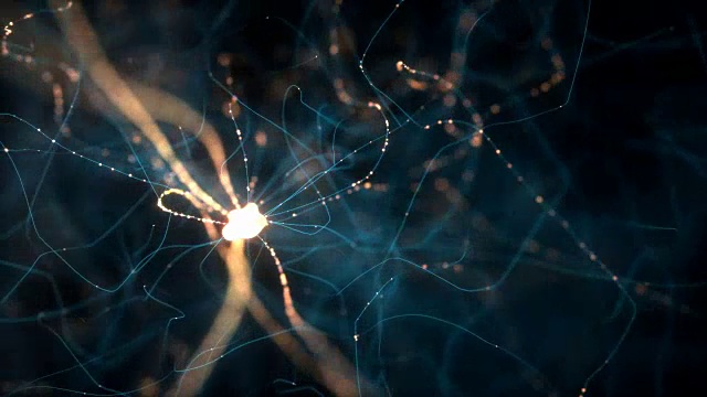 神经元电脉冲视频下载