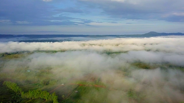 鸟瞰图拍摄的早晨与海雾在山区在泰国北部农村视频下载