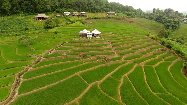 稻田梯田，山地农业用地。视频素材
