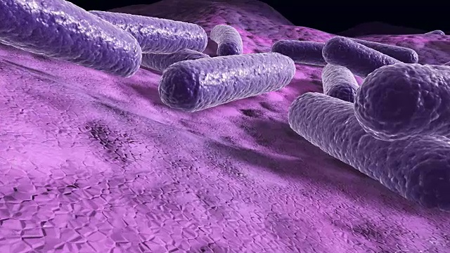 表面上的细菌，3d渲染的微观特写飞槽动画视频下载