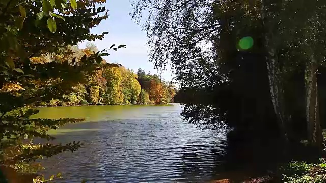 秋天的湖在公园里视频素材