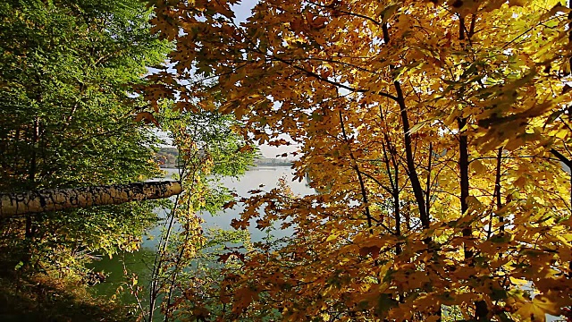 秋天的自然景观视频素材