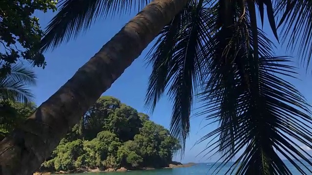 哥斯达黎加的热带海滩和棕榈树。视频下载