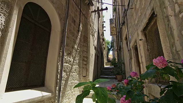 克罗地亚科尔库拉岛阳光明媚的小巷里盛开着粉红色的花朵视频下载