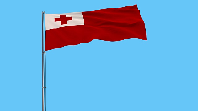 孤立的汤加国旗上的旗杆在风中飘扬，蓝色背景，3d渲染视频下载