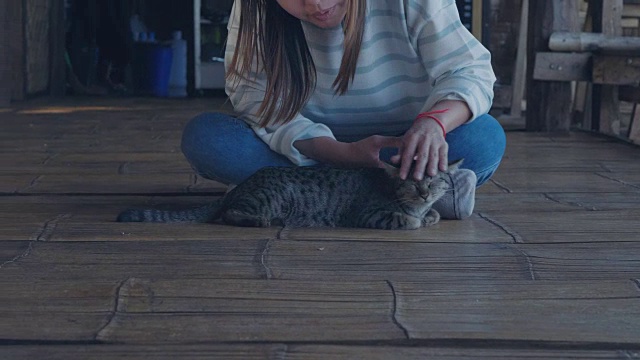 年轻女子和她的猫视频素材