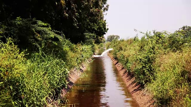 灌溉渠中的流水视频素材