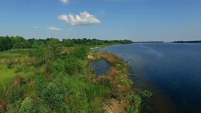飞越河上的老树干视频素材