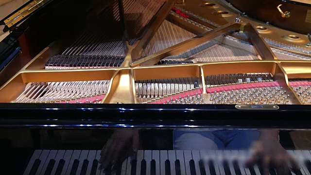 钢琴家弹钢琴。视频下载