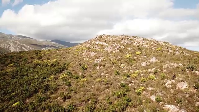 无人机飞越南非狒狒上空视频素材