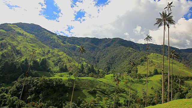 郁郁葱葱的哥伦比亚景观视频素材