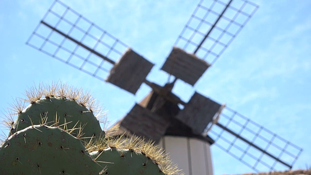 富埃特文图拉岛的老风车，仙人掌，加那利斯，4K视频素材