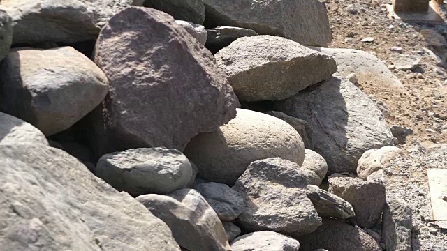 巨型蜥蜴躲在岩石里的4k慢镜头视频素材
