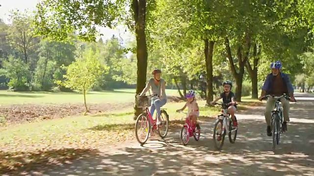 老夫妇和他们的孙子在阳光灿烂的公园里骑自行车视频素材
