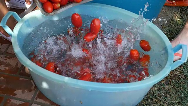 番茄落水-意大利自制番茄酱制作视频素材