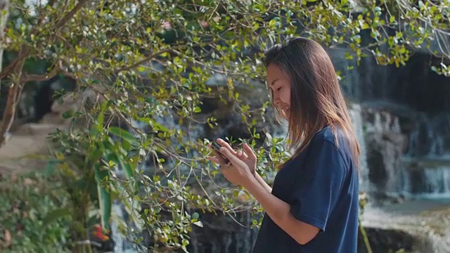 加州大学洛杉矶分校:在国家公园里使用智能手机的女性视频素材