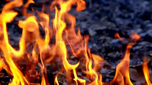 慢镜头火焰火焰燃烧在黑色的背景。它美丽的火焰的火焰视频素材