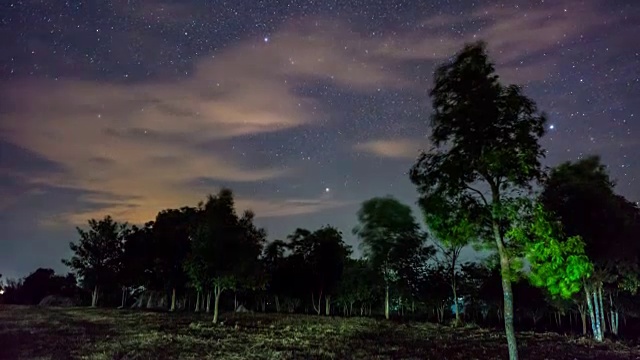 时间流逝视频:移动的星星和夜空在森林视频素材