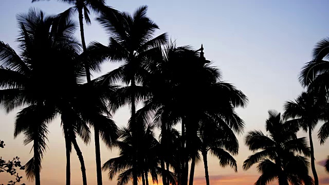 夏威夷的日落，4k慢镜头视频素材