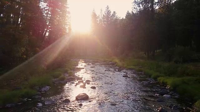 阳光透过树桥溪，俄勒冈-无人机射击视频下载